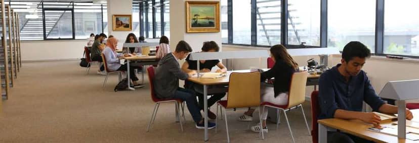 LEXPERA databases has been opened to usege